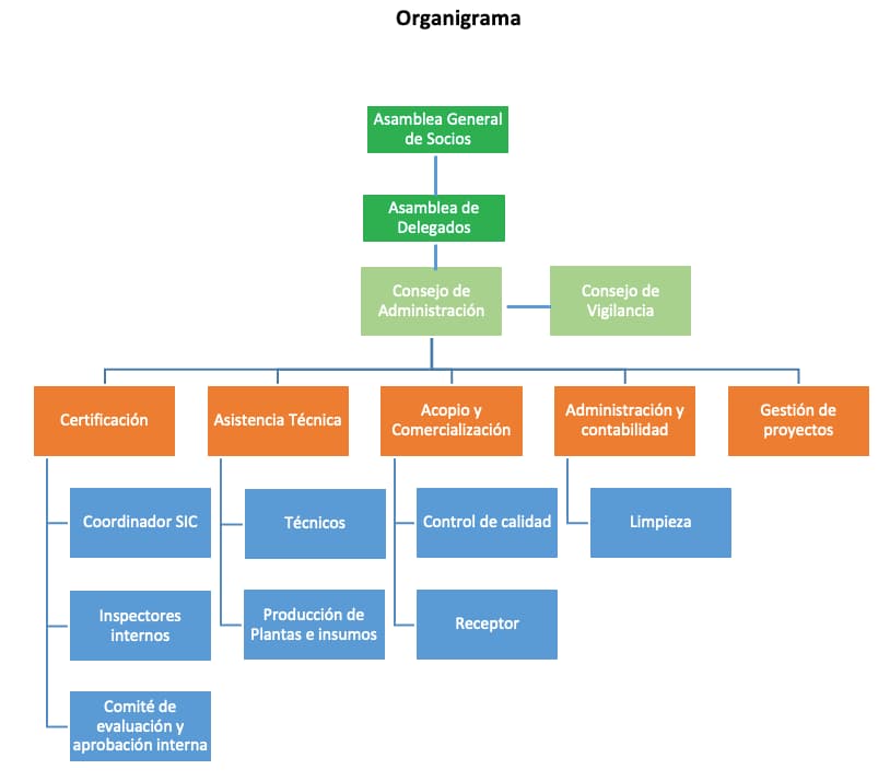 organigrama comon
